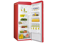 Fridge Repair Services