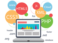 Website Development Services